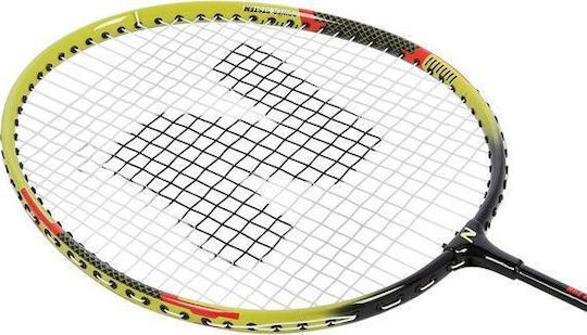 Nils Set Badminton
