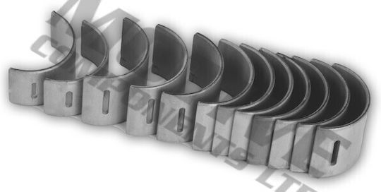 Camshaft Bearings Volkswagen 2.5 Tdi 03 Std 73-4828 Std