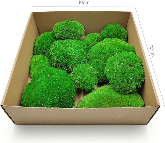 Moos Kissen Mittelgrün Natürliche 0,1m² 40x25cm Schweden