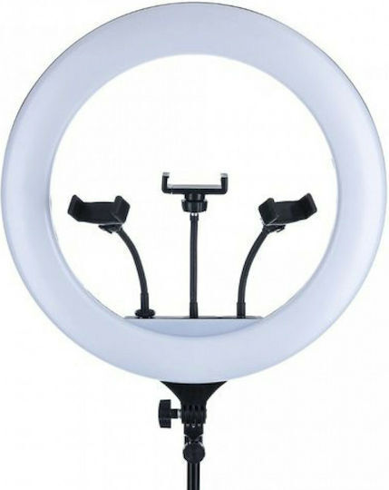 SPV Ring Light 58cm με Τρίποδο Δαπέδου και Βάση για Κινητό
