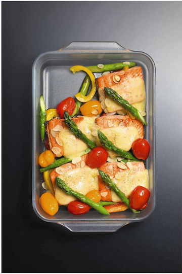 Aderia Rectangular Heat-Resistant Glass Cookware 29x19x5cm