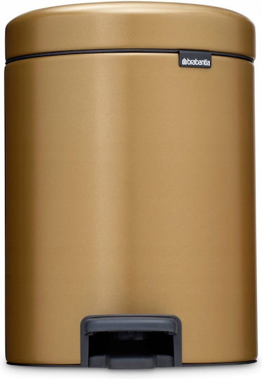 Brabantia NewIcon Pedal Waste Bin Metallic with Pedal 5L