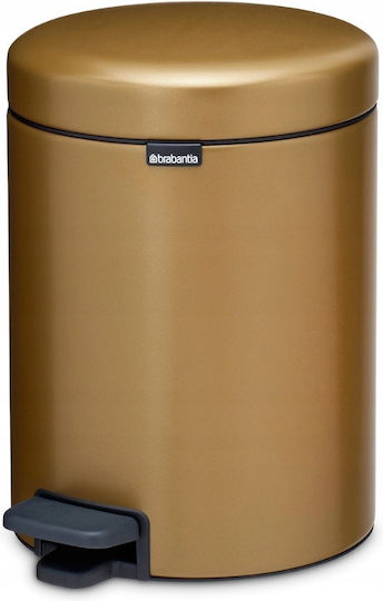 Brabantia NewIcon Pedal Waste Bin Metallic with Pedal 5L