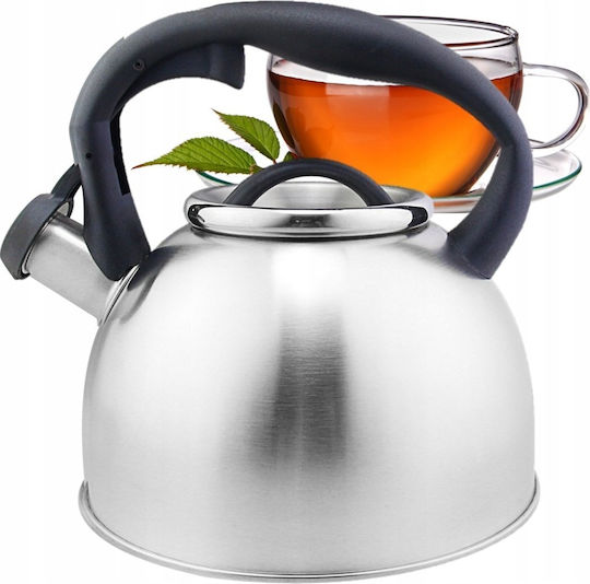Zilan Βραστήρας Ανοξείδωτος Ασημί 3000ml