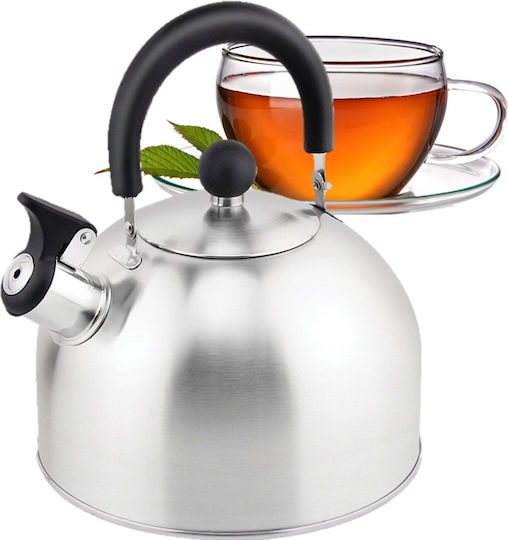 Zilan Stainless Steel Kettle Silver 3000ml Zilan