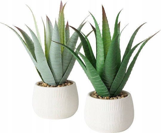 Aloe În Ghiveci Mic Albastru 29cm Boltze