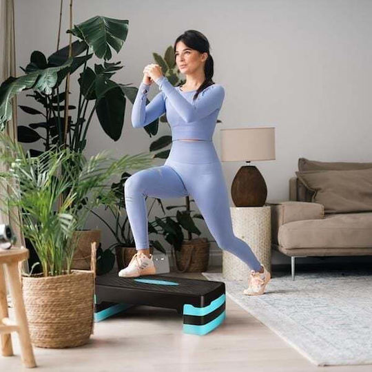 HMS Aerobic Stepper