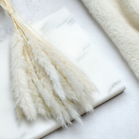 Mini Pampas Grass Bleached