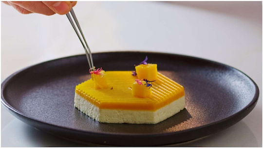 Decora Formă de Patiserie din Silicon cu 5 Cavități 29.5x17x2cm
