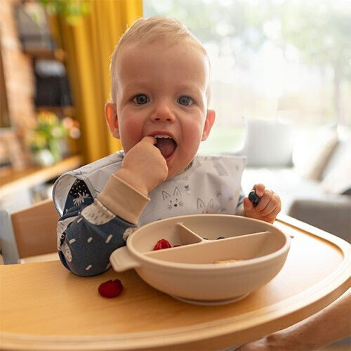 Babyono Детска Плоча за Храна от Силикон Син