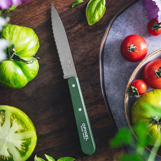 Opinel Les Essentiels Allgemeine Verwendung Messer 10cm Opinel Les Essentiels Allgemeine Verwendung Messer 10cm
