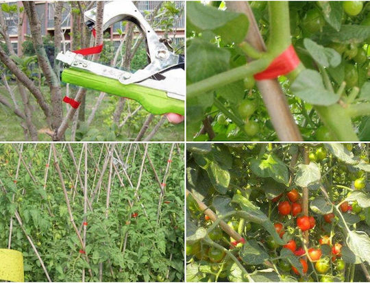 Capsator profesional pentru legarea plantelor de grădină Vițe Roșii Pepiniere Utilizare Verde