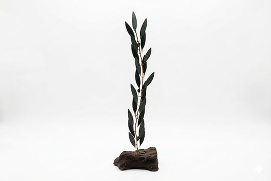 Large Olive Branch