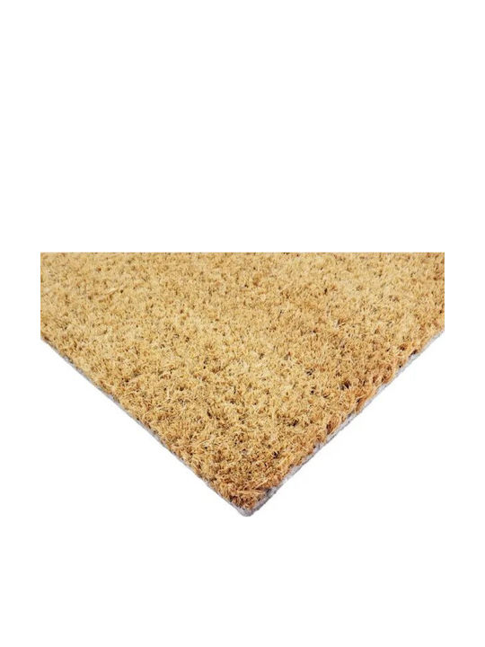 Artsy Mats Doormat Made of Coconut Tree with Non-Slip Backing Smile 60x40cm