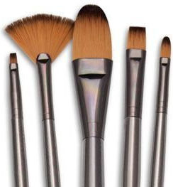 Set 5 Piese Pensule De Pictură Filbert