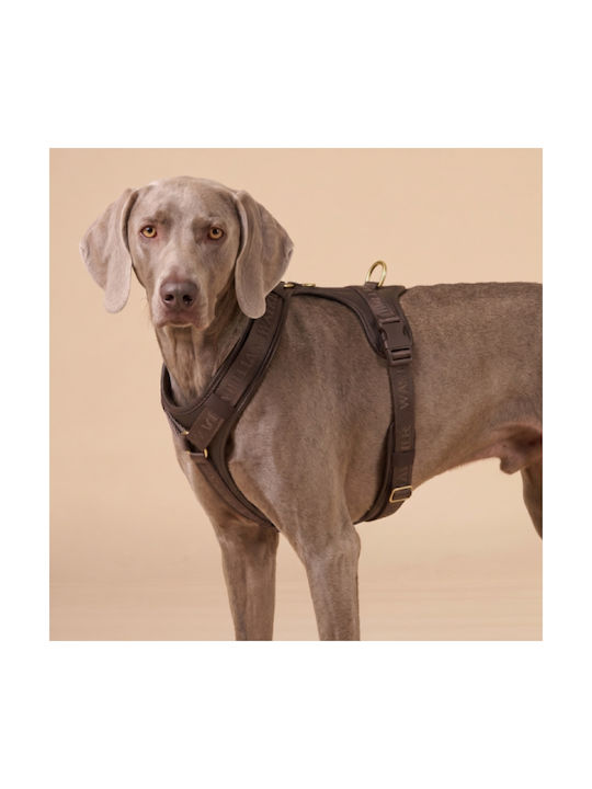 William Walker Leather Dog Harness Plain Premium Brown Y-Harness Soft Leather Small 46-63cm