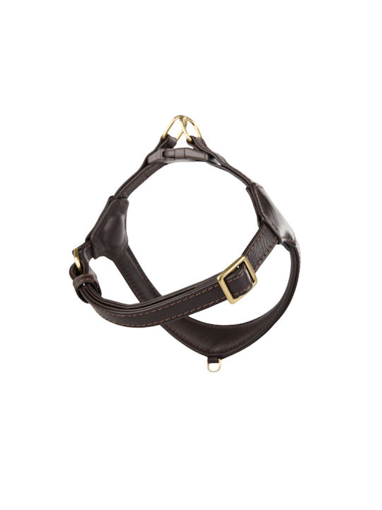 William Walker Pico Кожено Step-in Кучешки Поводи Кафяв За Малки Кучета И Кученца M 39-52cm William Walker Pico Кожено Step-in Кучешки Поводи Кафяв За Малки Кучета И Кученца M 39-52cm