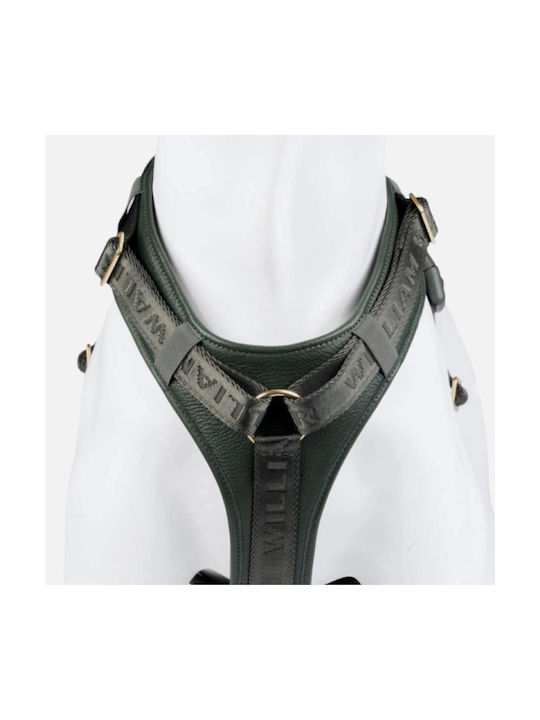 William Walker Leder Hundegeschirr Plain Premium Grünes Y-Harness Weiches Leder S 46-63cm