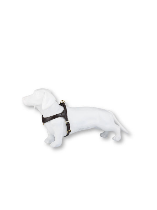 William Walker Pico Leder Step-in Hundegeschirre Braun Kleine Hunde & Welpen M 39-52cm