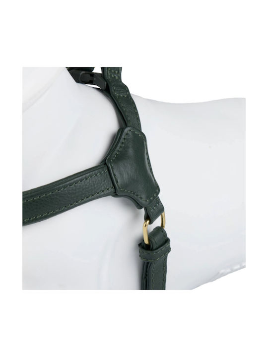 William Walker Pico Ham Piele Step-in Verde Pentru Câini Mici Și Căței M 39-52cm
