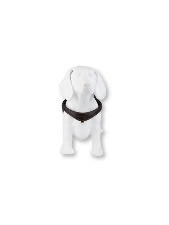 William Walker Pico Leder Step-in Hundegeschirre Braun Kleine Hunde & Welpen M 39-52cm