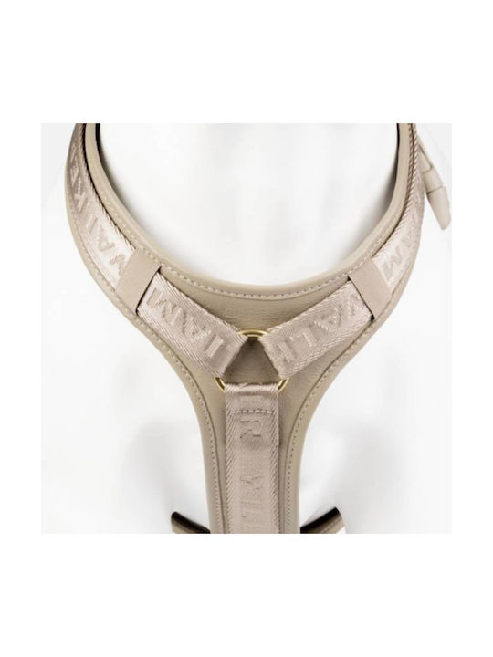 William Walker Leder Hundegeschirr Plain Premium Beiges Y-Harness Weiches Leder X-Large 69-100cm