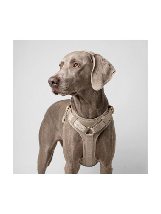 William Walker Leder Hundegeschirr Plain Premium Beiges Y-Harness Weiches Leder L 61-85cm