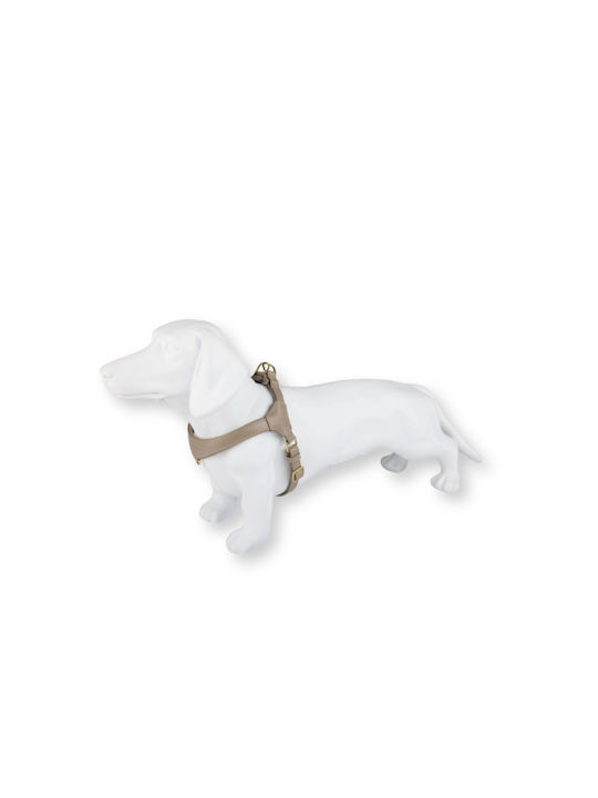William Walker Pico Leather Step-in Dog Harness Beige for Small Dogs & Puppies M 39-52cm