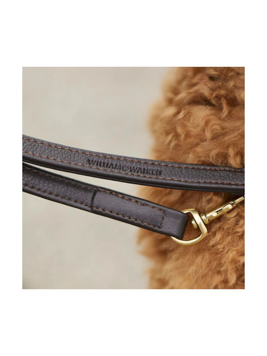 William Walker Adjustable Leather Dog Leash Earth Brown Plain Collection Xxs-xs 1.5cm