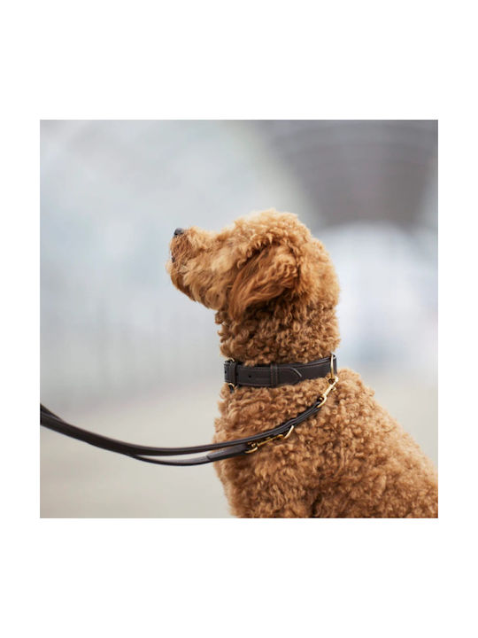 William Walker Adjustable Leather Dog Leash Earth Brown Plain Collection Xxs-xs 1.5cm