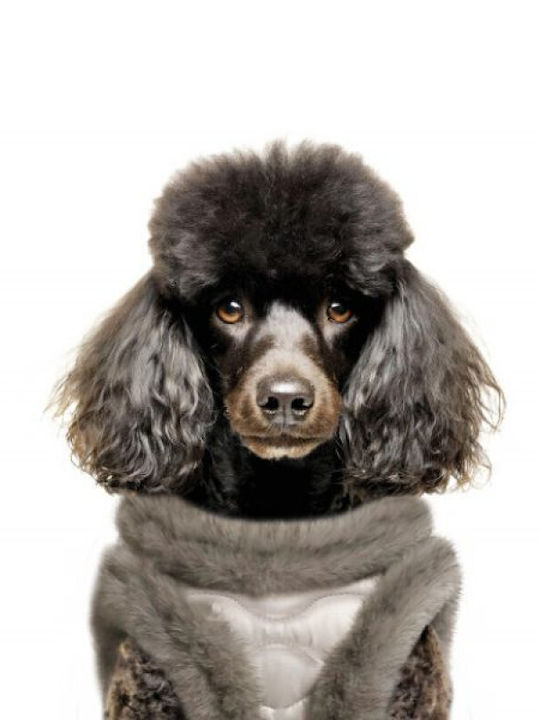Milk & Pepper Dog Bed Grey Milk & Pepper Dog Bed Grey