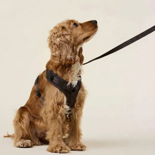 William Walker Foldable Dog Leash Lead Strap in Brown Color