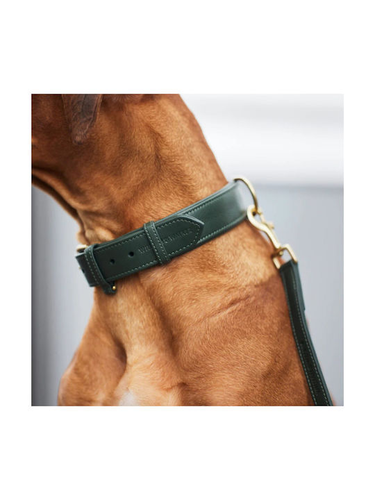 William Walker Leather Dog Collar Green Plain Collection XSmall 25cm