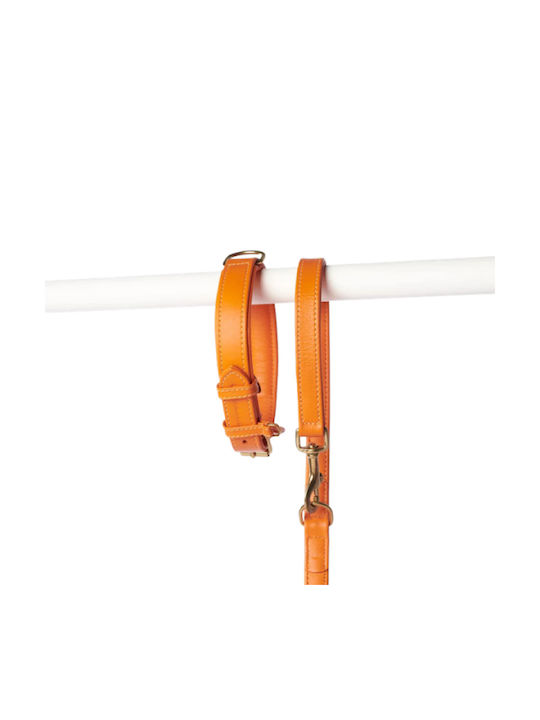 William Walker Leather Dog Collar Orange Plain Collection XXLarge 56cm
