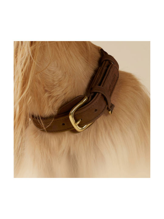 William Walker Wasserfestes Leder Hundehalsband Nubuck Braun Heritage Collection S 31cm