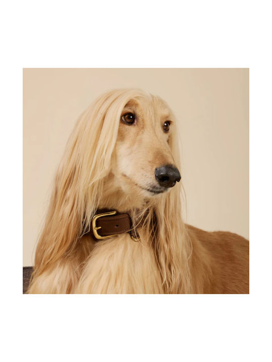 William Walker Waterproof Leather Dog Collar Nubuck Brown Heritage Collection Medium 38cm