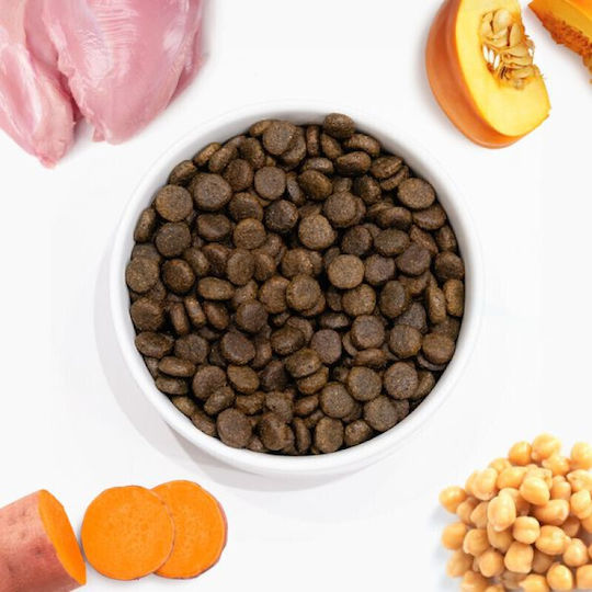 Arden Grange 2kg Grain-Free Dry Dog Food for Adult Dogs with Turkey