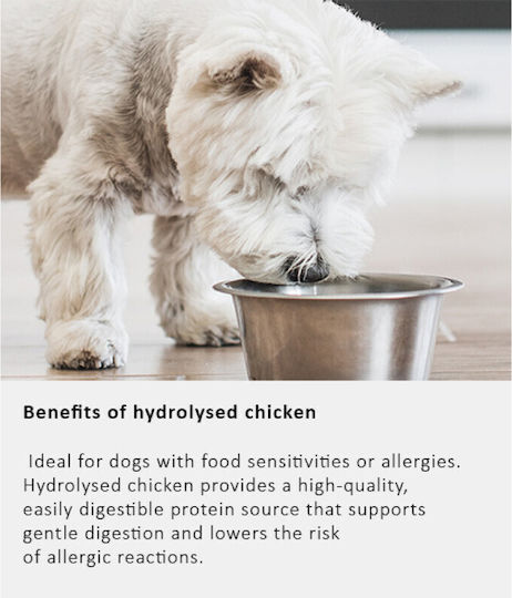 Arden Grange 12kg Grain-Free Dry Dog Food for Adult Dogs with Chicken