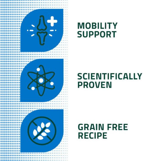 Arden Grange 2kg Grain-Free Dry Dog Food for Adult Dogs with Turkey