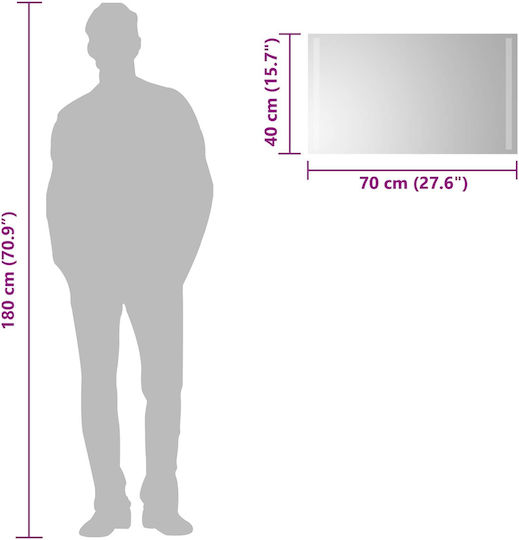 vidaXL Bathroom Mirror Led 70x40cm Transparent