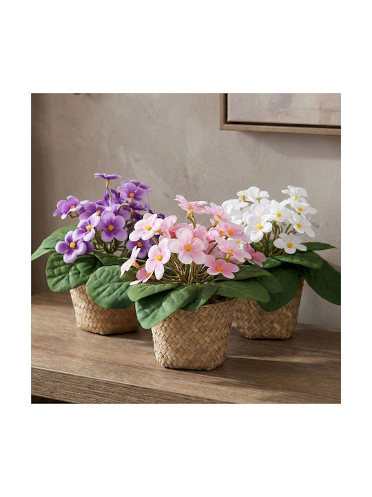 Artificial Plant in Small Pot Daisy Pink 17cm Iliadis