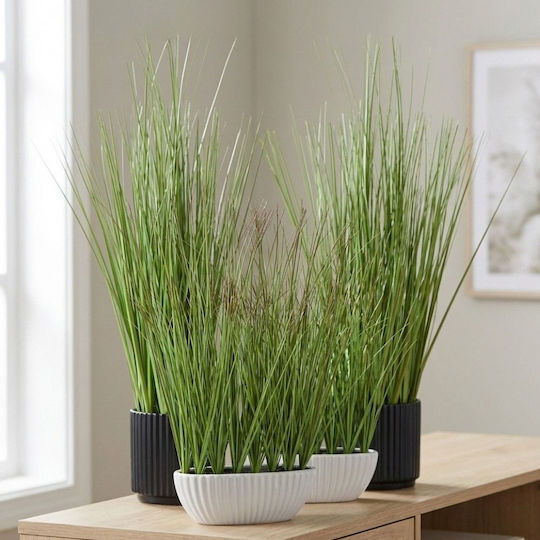 Grass 46cm Ceramic Black Pot Ø10x9.5cm