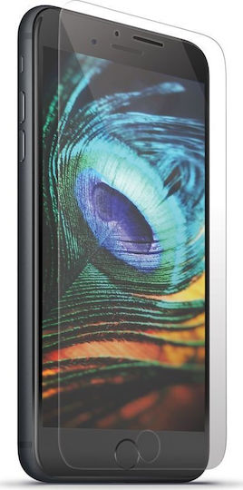 Forever 9H Tempered Glass (Galaxy Xcover 5)