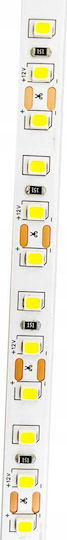 Eco Light Ταινία LED 12V Φυσικό Λευκό Φως 5m Τύπου SMD2835