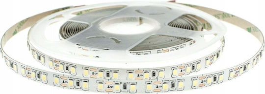 Eco Light Ταινία LED 12V Φυσικό Λευκό Φως 5m Τύπου SMD2835