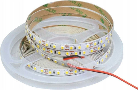 Eco Light Ταινία LED 12V Φυσικό Λευκό Φως 5m Τύπου SMD2835