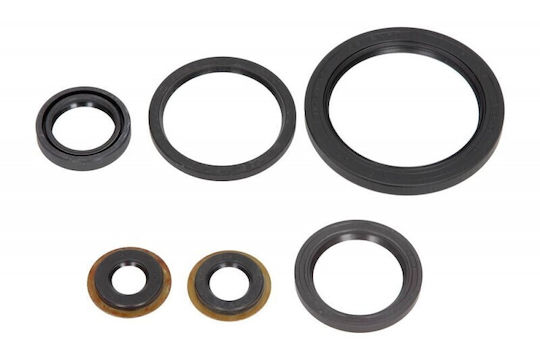 Yamaha Yfm 250 Big Bear 2005-2008 6 Τεμ Auto-Dichtungen Set