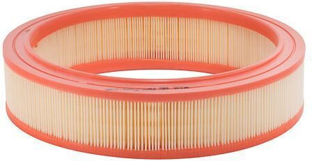 Fiat Doblo Air Filter 119,223 00- Punto 188 99-12/Fiat Y 840 95-03/Zastava 10 05 Ar2321 Filtron 71754083 Ar2321-10439