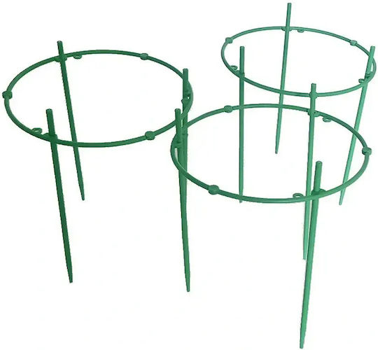 Circular Plant Support 3 Rings Green Proper Growth