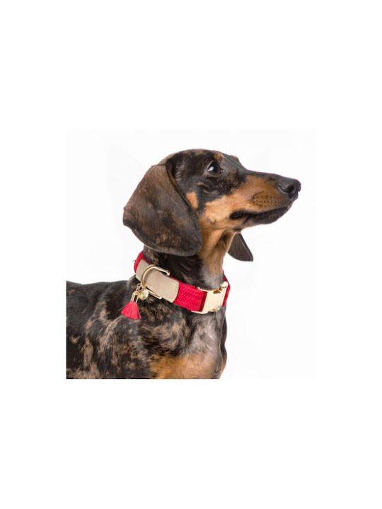 Milk & Pepper Verstellbares Hundehalsband Kaya 26 40 Cm Milk & Pepper Verstellbares Hundehalsband Kaya 26 40 Cm